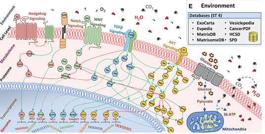 Multi-scale publication figure