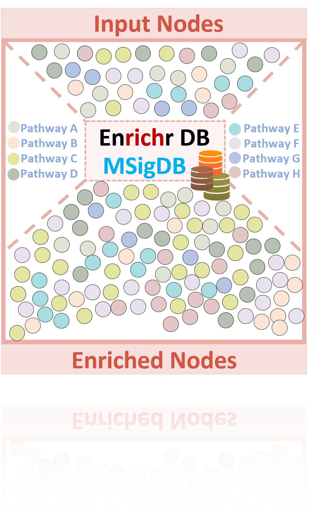 Step 2: Node Enrichment